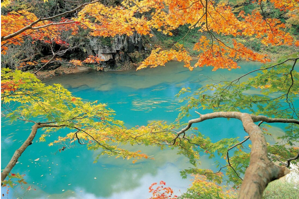 色づいた紅葉が広がる渓谷の写真。