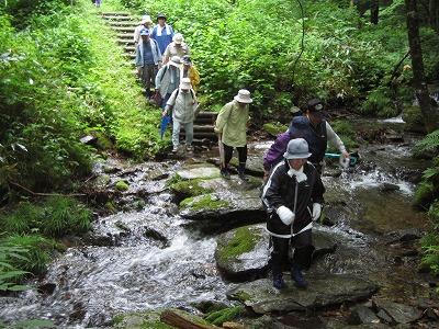 種山ヶ原森林公園散策（すみた森の案内人）