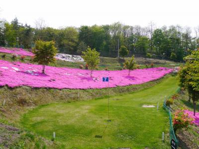 心怡公园高尔夫球场